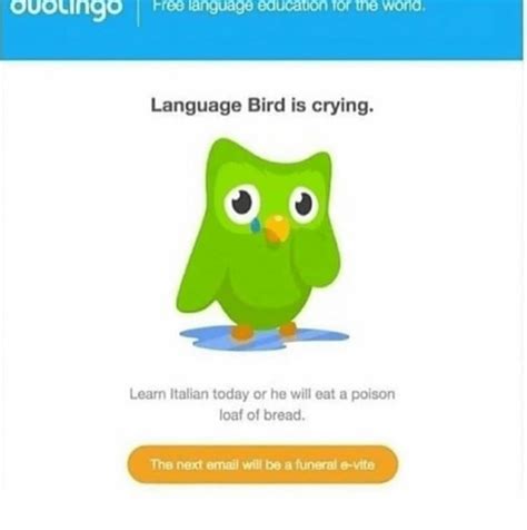 she did not recognize me in italian duolingo Duolingo (/ ˌ dj uː oʊ ˈ l ɪ ŋ ɡ oʊ / DEW-oh-LING-goh) is an American educational technology company that produces learning apps and provides language certification